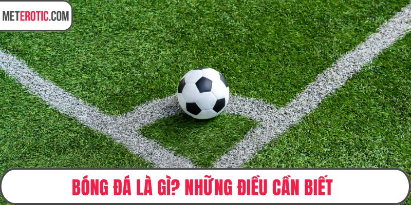 Bóng Đá Là Gì? Những Điều Cần Biết Về Môn Thể Thao Vua