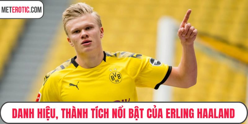 Danh hiệu, thành tích nổi bật của Erling Haaland