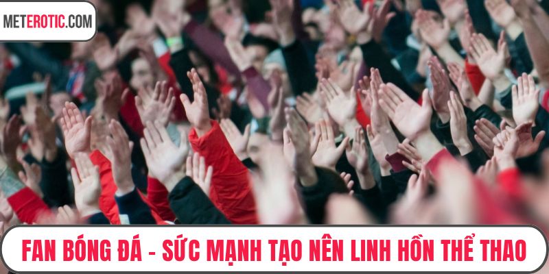 Fan Bóng Đá - Sức Mạnh Tạo Nên Linh Hồn Thể Thao Vua