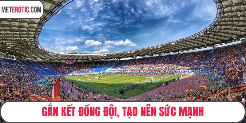 Gắn kết đồng đội, tạo nên sức mạnh