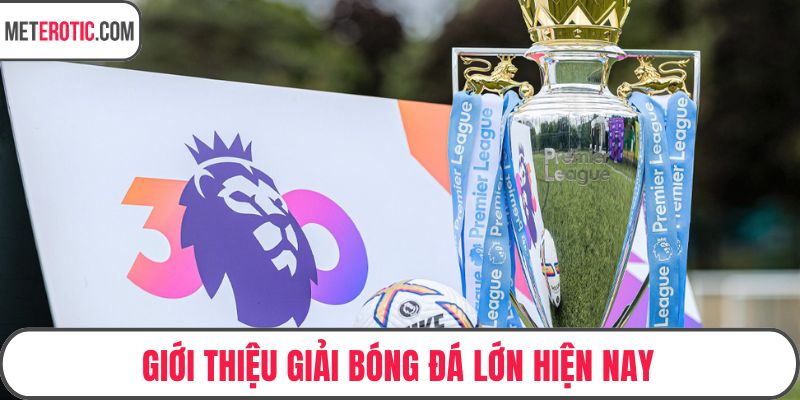 Giới thiệu giải bóng đá lớn hiện nay