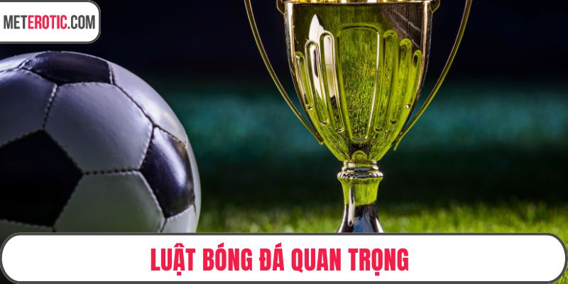 Luật Bóng Đá Quan Trọng Mà Mọi Cổ Động Viên Cần Biết
