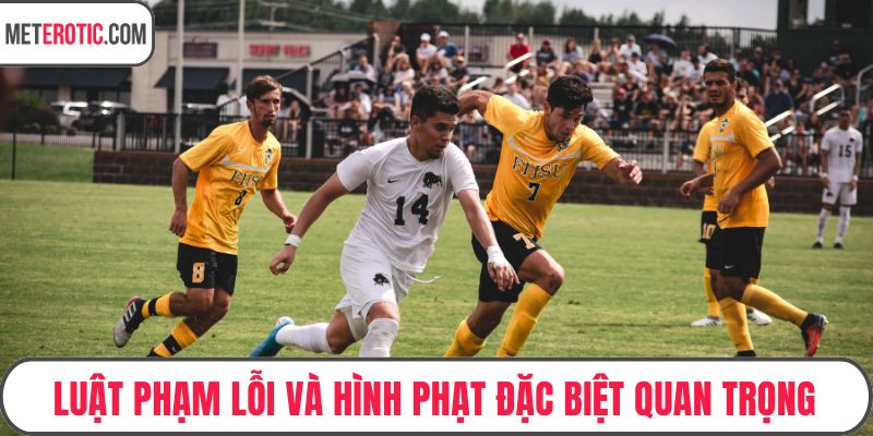Luật phạm lỗi và hình phạt đặc biệt quan trọng