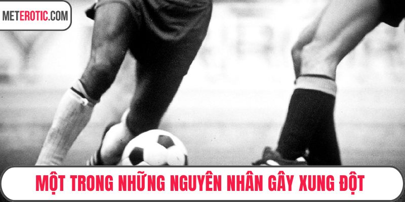 Một trong những nguyên nhân gây xung đột