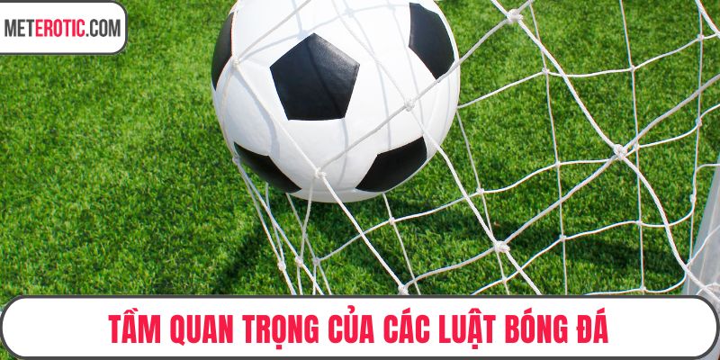 Tầm quan trọng của các luật bóng đá